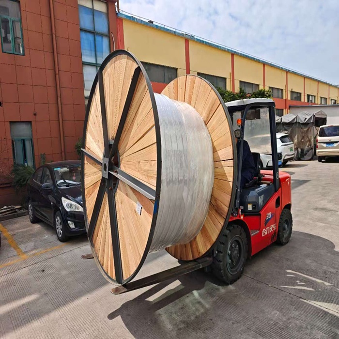 Precise Adaptation & Stable Operation - Multiple Models of Linzhi Handrails Officially Shipped to Overseas Maintenance Projects