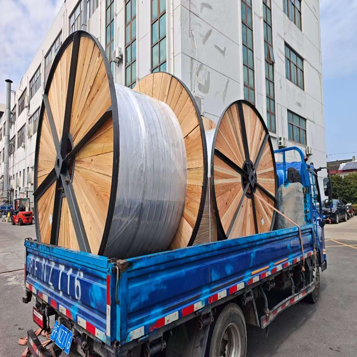 Shanghai Linzhi Export-grade SBR Handrail Belt Actual Shipment Packing: RB8238O and RB8039S